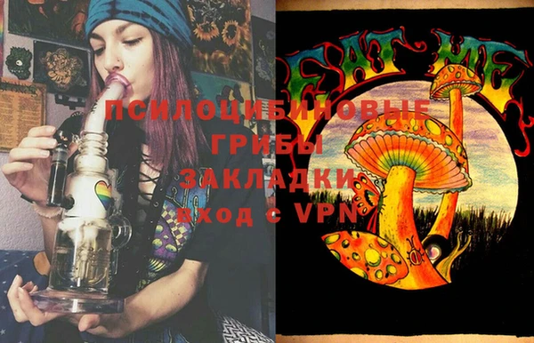 мяу мяу мука Абаза