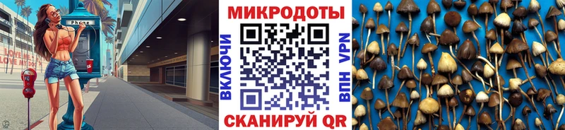 маркетплейс как зайти кракен зеркало Смоленск Галлюциногенные грибы Cubensis
