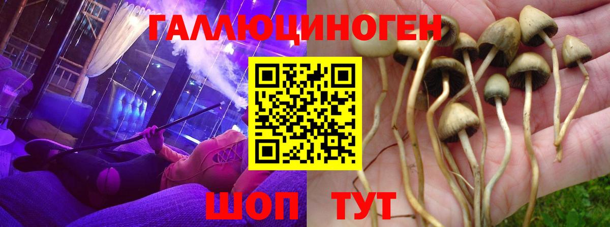 Псилоцибиновые грибы Magic Shrooms  Вход с VPN  Галлюциногенные грибы Psilocybine cubensis  Смоленск 
